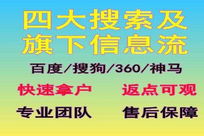 短视频平台的SEM推广实践与效果