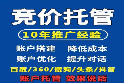 案例分析：竞价推广实战中的困境与突破